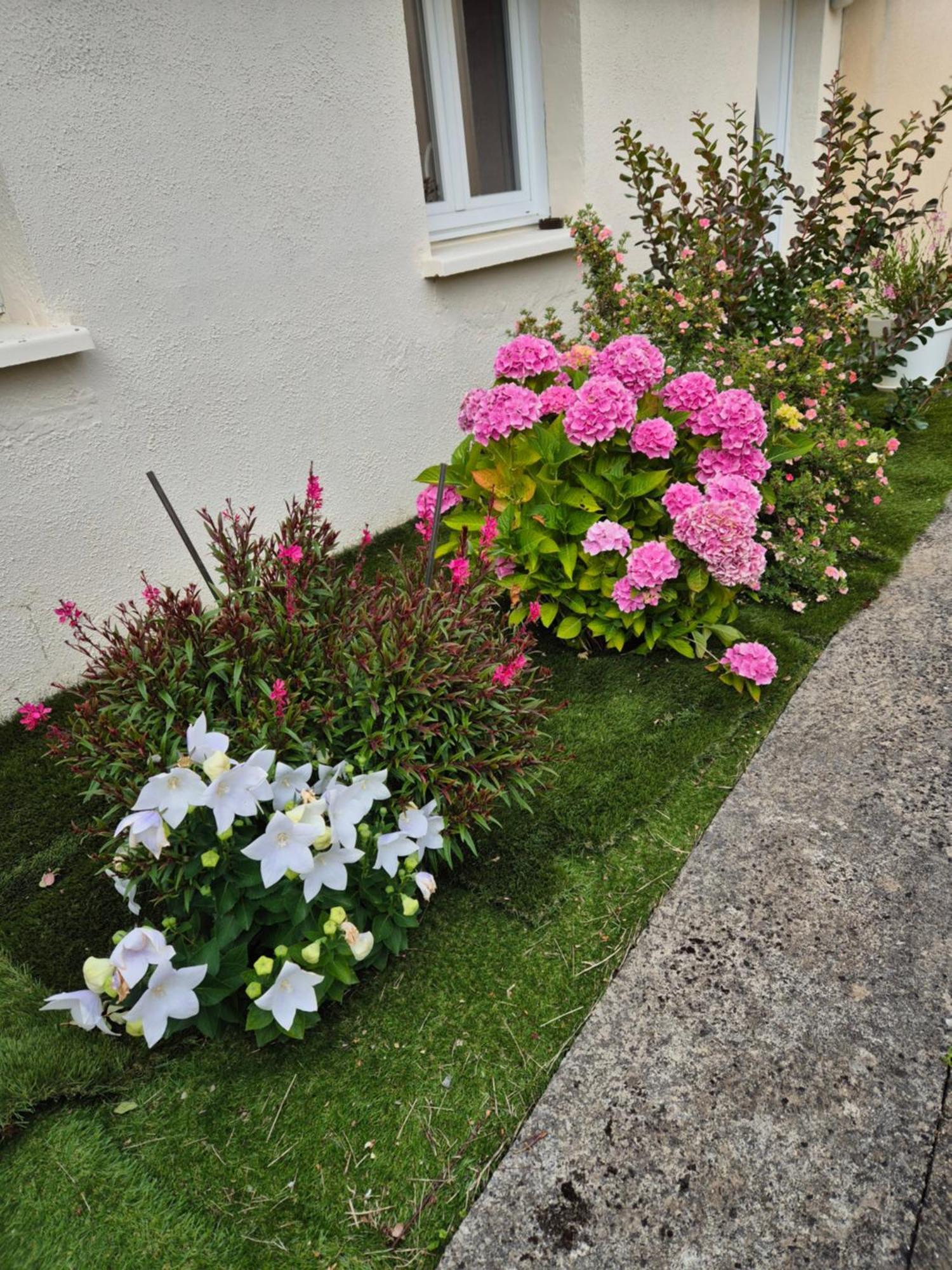 Ferienwohnung La Bagatelle Pontorson Exterior foto